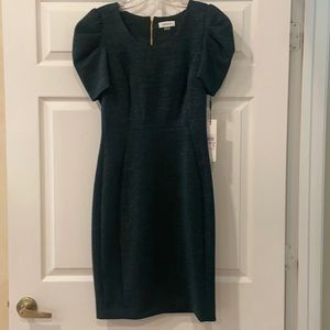 Calvin Klein Shimmery Green Dress